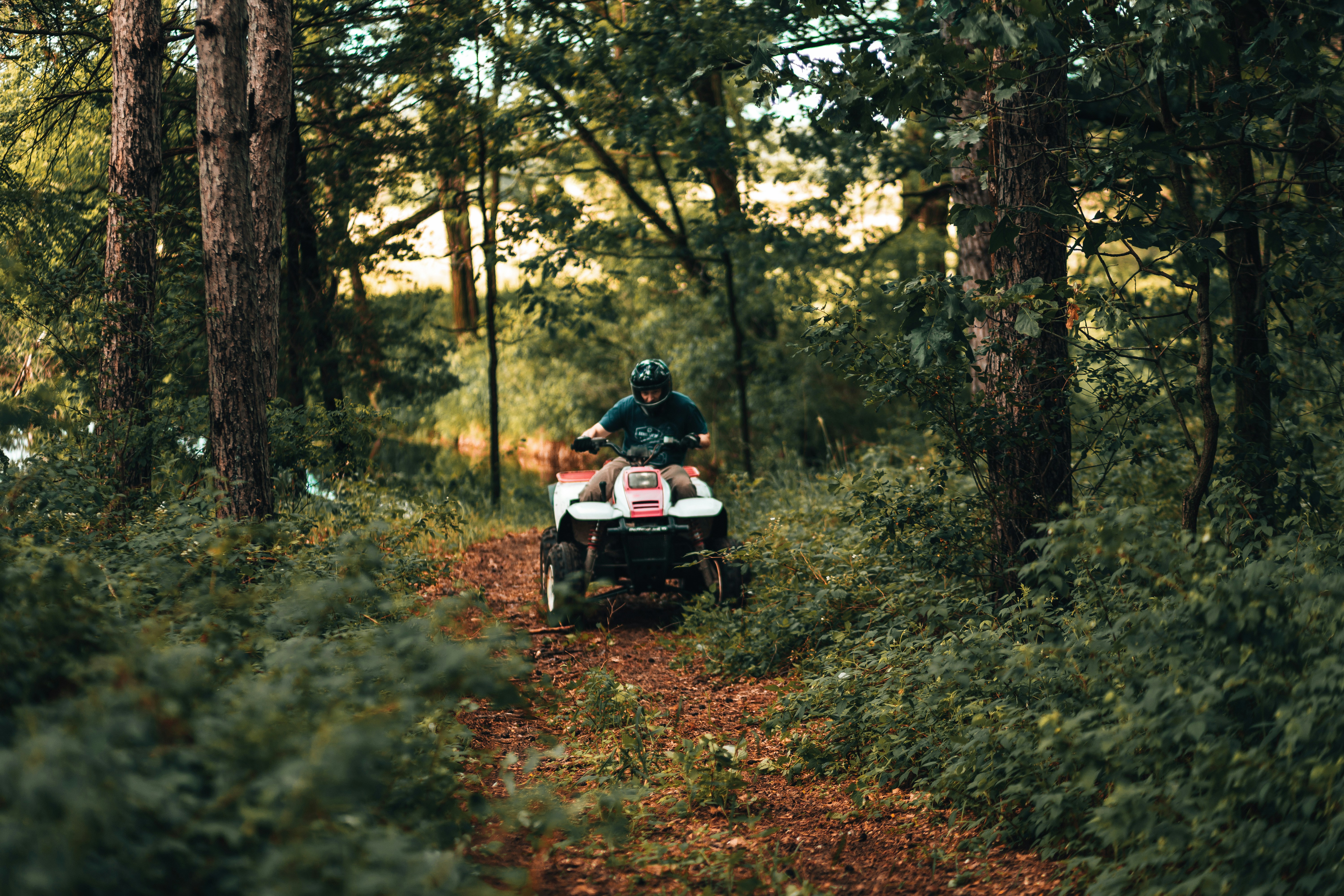Person on ATV in trees